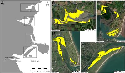 Dublin’s saltmarshes contain climate-relevant carbon pools